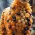 Fruitimals Not Animals Bommalu Animals Shorts 4k