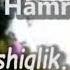 Oybek Hamroqulov 4