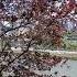 Newyork Manhattan Littleisland Reflexiones Palabradevida Amor De Dios Fe Paz Gozo Esperanza