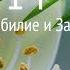День 14 Медитация Изобилие и Закон Дхармы