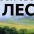 2000656 09 Аудиокнига Островский А Н Лес