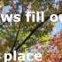 The Prayer Lyrics Celine Dion Josh Groban