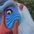 Asante Sana Squash Banana Rafiki Thelionking Waltdisneyworld Disneycharacters