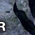 Werewolf The Beast Among Us Trailer 2012 Universal Monster Movie HD