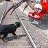 GTA V THOMAS THE TRAIN SAVING CHOP FROM CHOO CHOO CHARLES Shorts