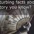 What Are Some Actual Disturbing Facts About History You Know Reddit Shorts