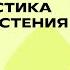 Общая характеристика царства Растения Биология 6 класс Домашняя школа Фоксфорда