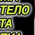 Аудиокнига ПОПАДАНЦЫ В ПРОШЛОЕ БОЕЦ ММА ПОПАЛ В ТЕЛО ЗАДРОТА ПОДРОСТКА