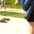 BUSHMAN PRANK TREE BUSH MAN SCARE PRANK REACTION