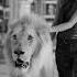 She S Best Friends With A Lion II