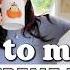 EXTREME DECLUTTER W ME Messy To Minimal 2025 Office Homeschool Room Purge Organize Chatty