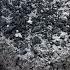 An Oddlysatisfying Crumbling Of Stoney Charcoal Dry Floor Water Crumbling Asmr Relax