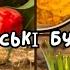 Саджаю Тюльпани Весняне Прибирання На Подвір я Готую за 1 годину Меню на 2 дні готую прибирання