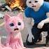 Kitten Vs Evil Stepmom Shorts Aicat Cat KittyTails Viralvideo