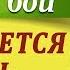 ТАК ХОЧЕТСЯ ЖИТЬ на гитаре гр Рождество Аккорды табы как играть на гитаре Песня на 3 аккорда