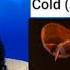 First Time Reaction To CHRIS STAPLETON Cold CMA Awards 2021