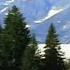 The 1 522 Mile Long Alaskan Highway S9 E4 Modern Marvels Full Episode