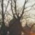 Russian Orthodox Music Русская Православная музыка Winter Walk