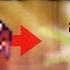 TERARRIA 1 4 JOURNEY S END ADVANCED COMBAT TECHNIQUES THE ULTIMATE BUFF TO YOUR NPC S