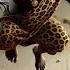 HE CLAIMED TO BE GOD IF ONLY HE KNEW Storytelling Africanfolktales Africantales