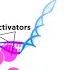 Regulation Of Gene Expression Operons Epigenetics And Transcription Factors