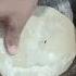 Onion Paratha Cooking Sudesh Kumari