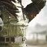 Call Of Duty Mobile Season 9 Theme Music