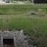Daytime Coyote Attack On Child Alarms Frisco Residents