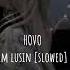 HOVO 𝐢𝐦 𝐥𝐮𝐬𝐢𝐧 Slowed