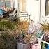 OLD TIMER Jumps At The OPPORTUNITY To Get His Yard Cleaned UP And We Were Happy To HELP