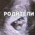 Мухайё Мансуровна 998 71 202 09 00