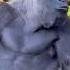 Silverback Gorilla Domineer Gorillas Silverback