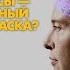 Лекция Сергея Шишкина Нейроинтерфейсы самый провальный проект Илона Маска МГППУ
