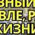 СИЛЬНОЕ ДУА НА ЕЖЕДНЕВНЫЙ УСПЕХ В ТОРГОВЛЕ РАБОТЕ ЖИЗНИ дуа