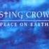 Casting Crowns While You Were Sleeping