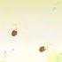 ALTTAM HB Fly Hedgehog ANI