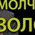 Почему молчание золото Проповедь Александра Шевченко