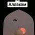 Нашид Есть ли у тебя секрет с Аллахом