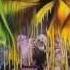 Chris Brown Don T Judge Me Remix Feat King F A M E