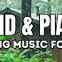 Gentle Rain And Soft Piano For Deep Sleep Relaxing Room Ambience For Anxiety Relief