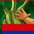 Go Diego Go Theme Song Multilanguage