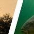 Summer Carp VS The Deadly Noodle Rig Max Whitehall Reveals Effective Hot Weather Tactics