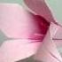 Origami Flower Lily 100th Video