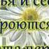 Сура Аль Фаляк Мишари Рашид перевод и значение суры