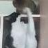 кот подстава котик котики кот