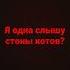Я одна слышу стоны котов