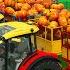 Can CLAAS Tractors REALLY SURVIVE This INSANE OBSTACLE CHALLENGE With PUMPKINS