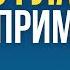 30 немецких глаголов с примерами Проверь свои знания немецкого А1