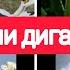 БАҲОР ОМАД ЗИ УМРАМ БОЗ ЯК СОЛИ ДИГАР БИГЗАШТ