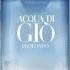 Giorgio Armani Aqua Di Gio Profondo EDT 2025 First Impressions Review